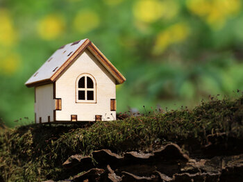 Wooden,House,Model,On,A,Moss,In,Spring,Forest.,Concept